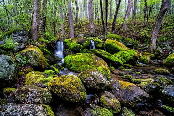 National parks